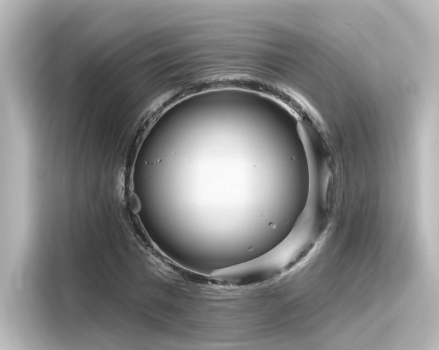 X0000116160777200911301600