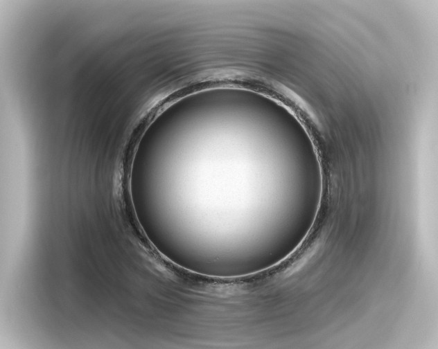 X0000116160778200911301600