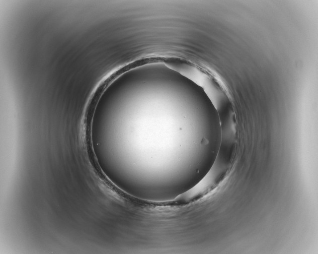 X0000116160779200911301600