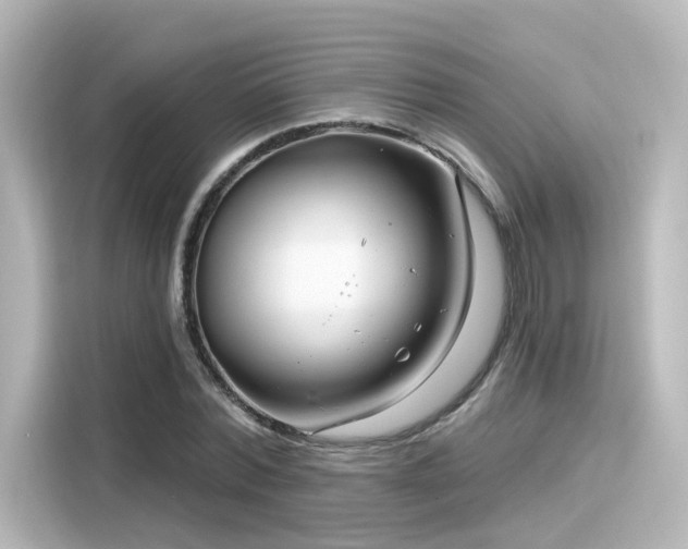 X0000116160780200911301600