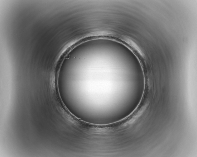 X0000116160781200911301600