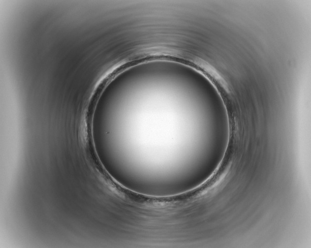 X0000116160782200911301600