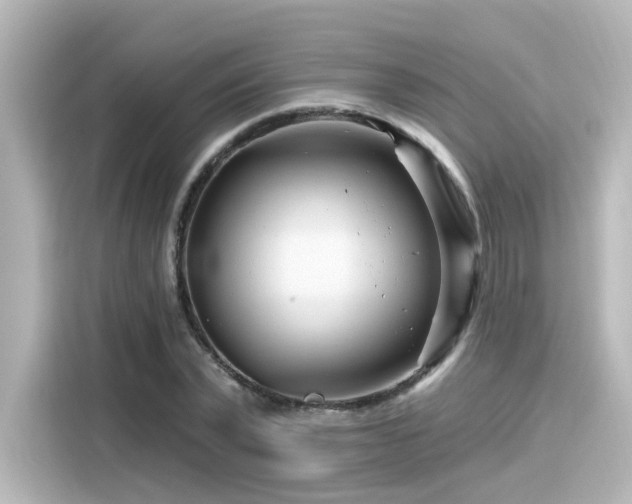 X0000116160783200911301600