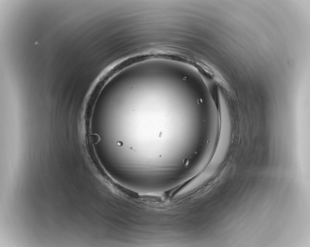 X0000116160784200911301600