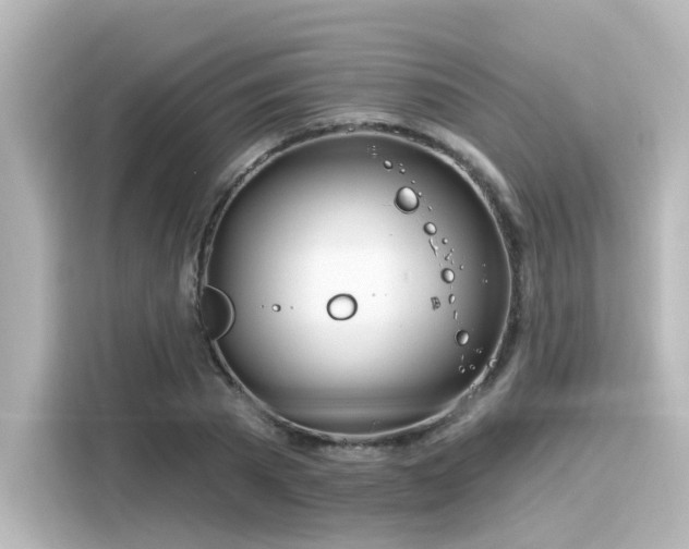 X0000116160785200911301600