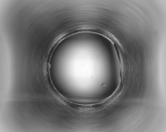 X0000116160786200911301600