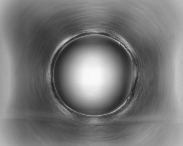 X0000116160787200911301600