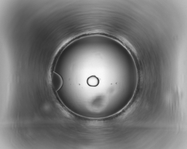 X0000116160789200911301600