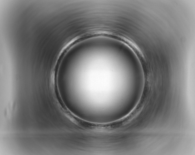 X0000116160790200911301600