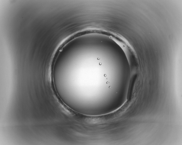 X0000116160791200911301600