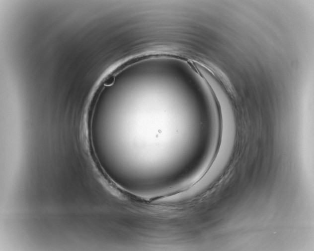 X0000116160792200911301600