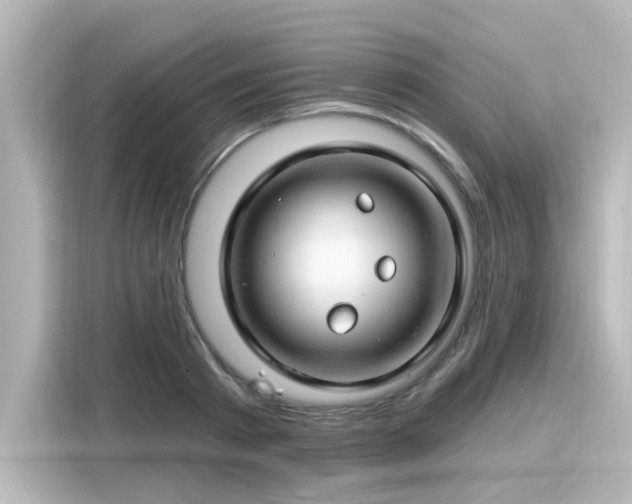 X0000116160793200911301600