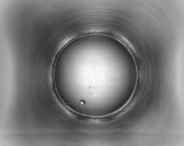 X0000116160794200911301600