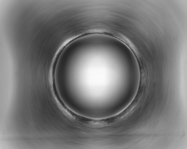 X0000116160795200911301600