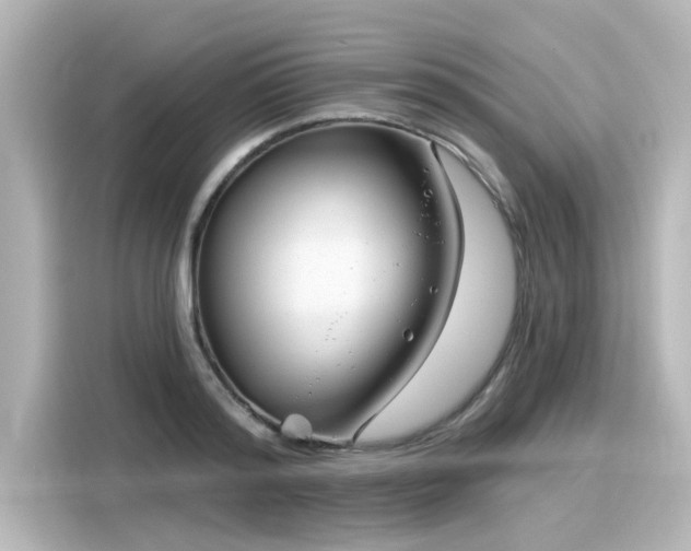 X0000116160796200911301600