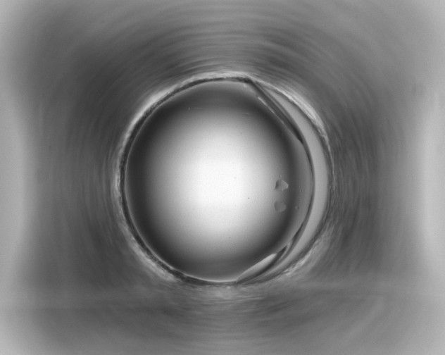 X0000116160797200911301600