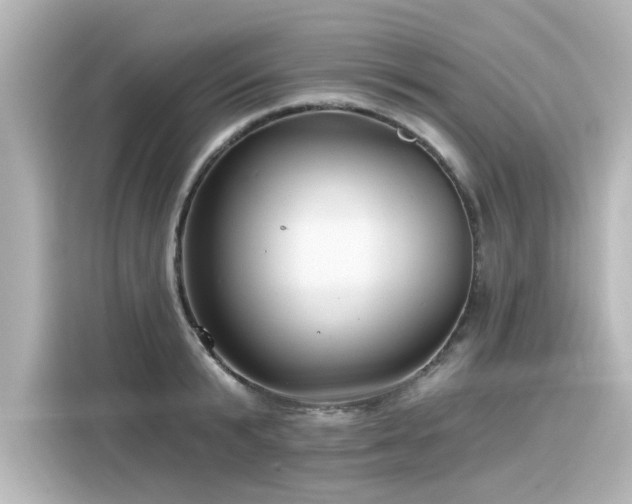 X0000116160799200911301600