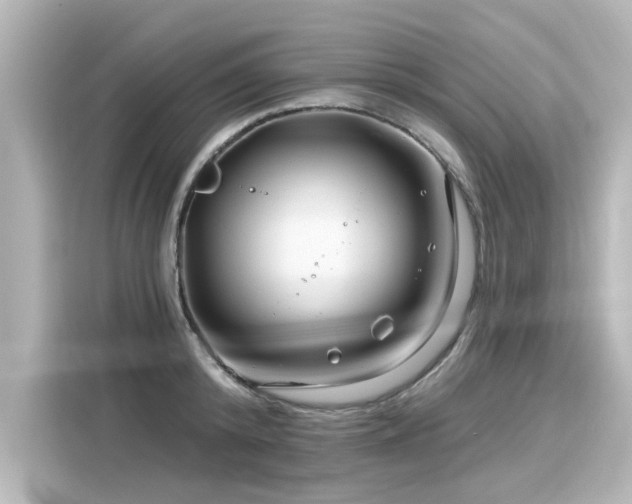 X0000116160800200911301600