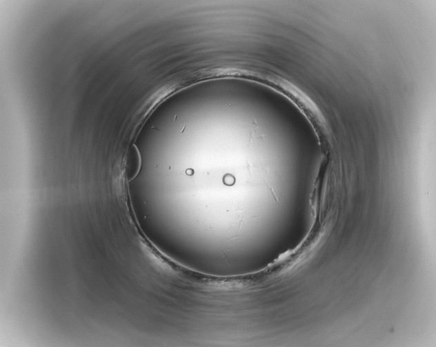 X0000116160801200911301600