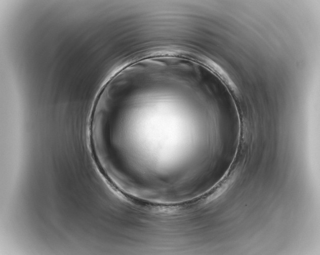 X0000116160802200911301600