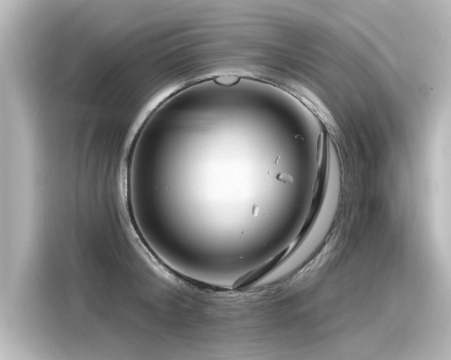 X0000116160804200911301600