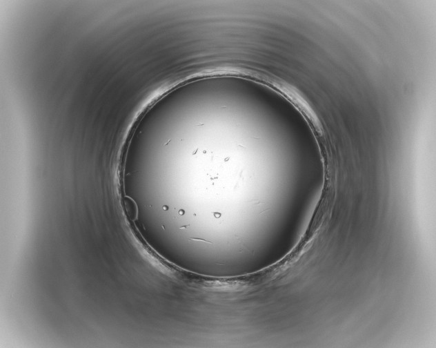 X0000116160805200911301600