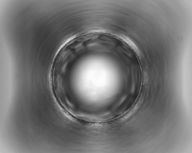 X0000116160806200911301600