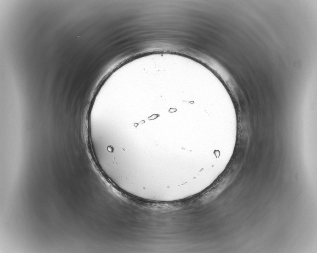 X0000116160807200911301600