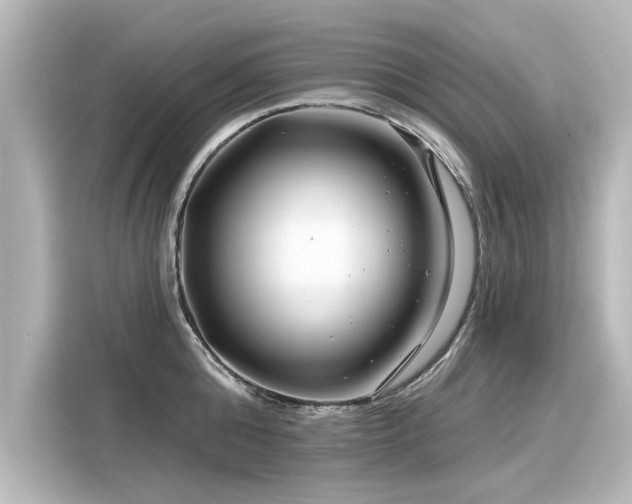 X0000116160808200911301600