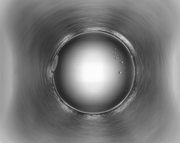 X0000116160809200911301600