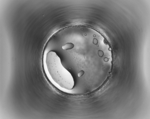 X0000116160810200911301600