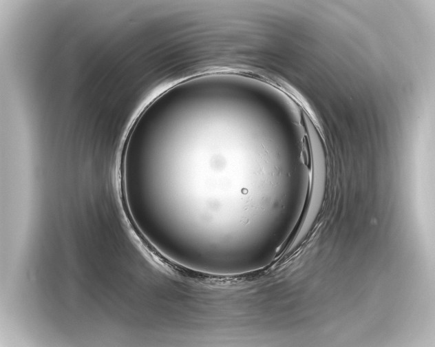 X0000116160811200911301600