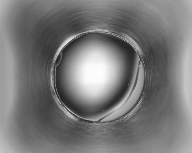 X0000116160812200911301600