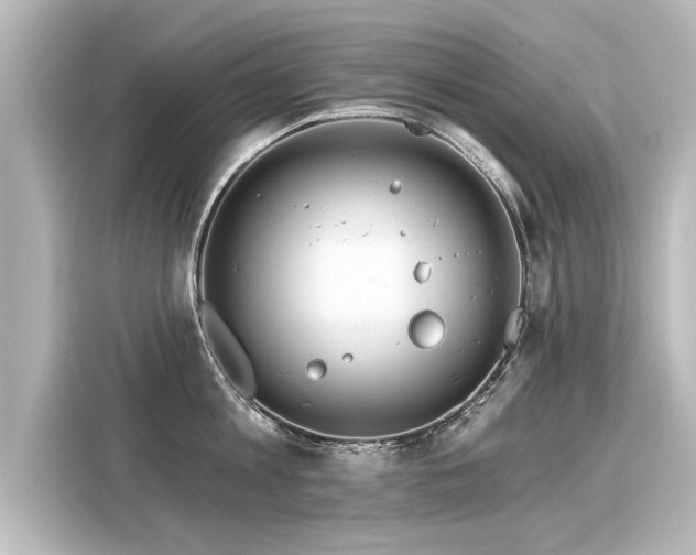 X0000116160813200911301600