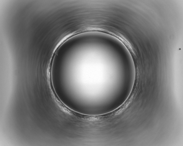 X0000116160814200911301600