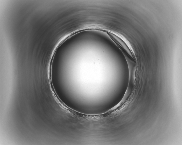 X0000116160815200911301600