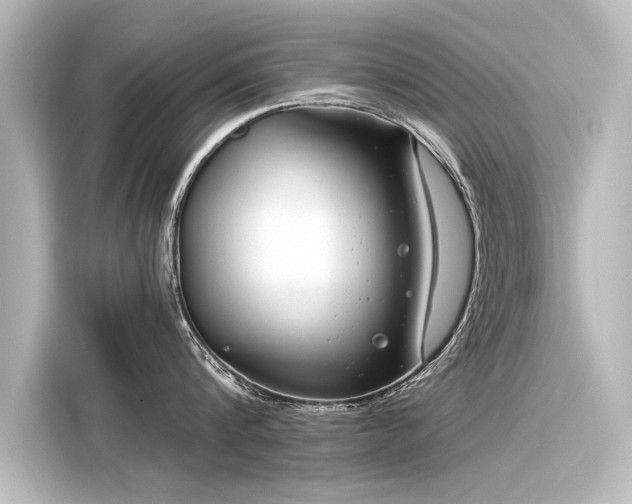 X0000116160816200911301600