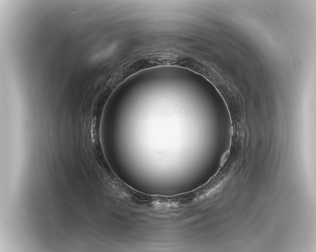 X0000116160818200911301559