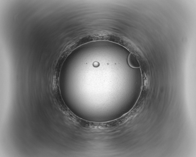 X0000116160819200911301559