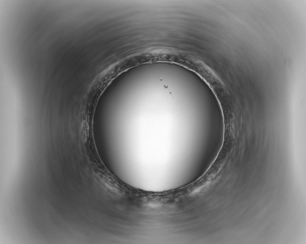 X0000116160821200911301559