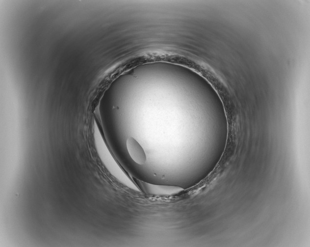 X0000116160822200911301559