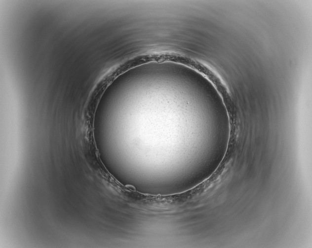 X0000116160823200911301559