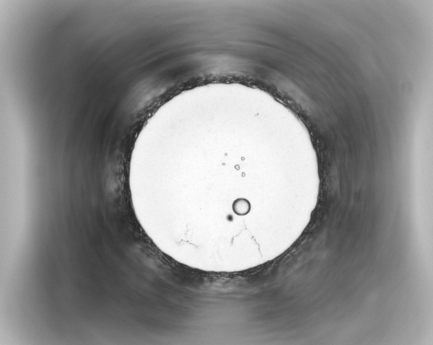 X0000116160824200911301559