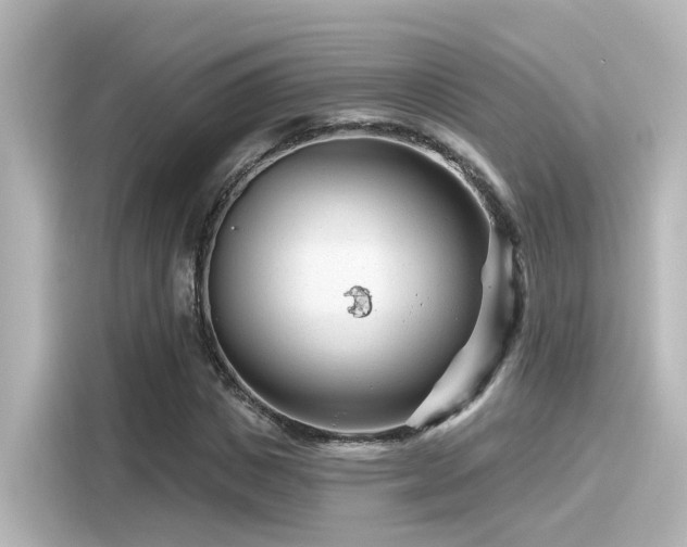 X0000116160825200911301559