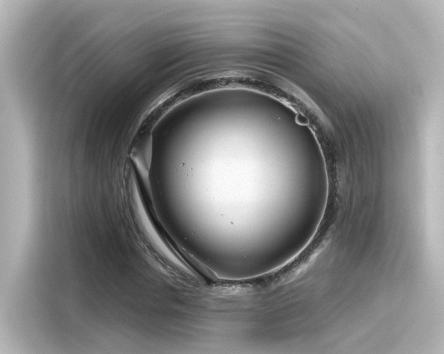 X0000116160826200911301559