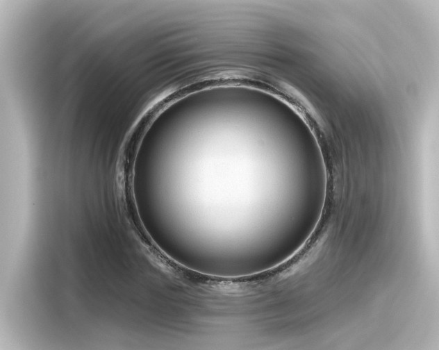 X0000116160827200911301559