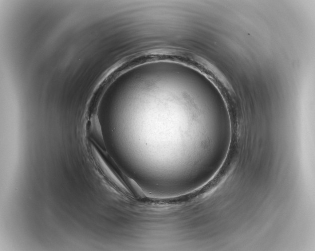 X0000116160829200911301559