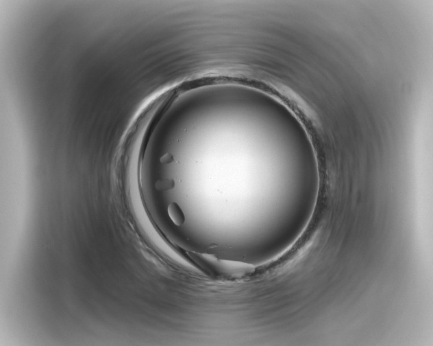 X0000116160830200911301559