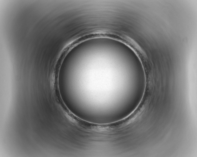 X0000116160831200911301559