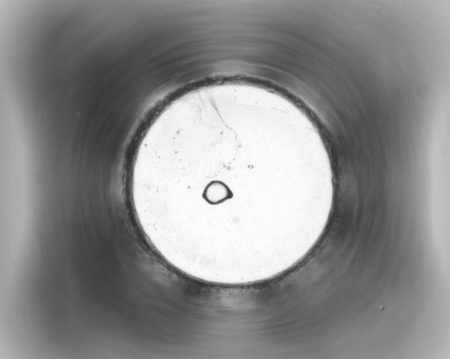 X0000116160832200911301559